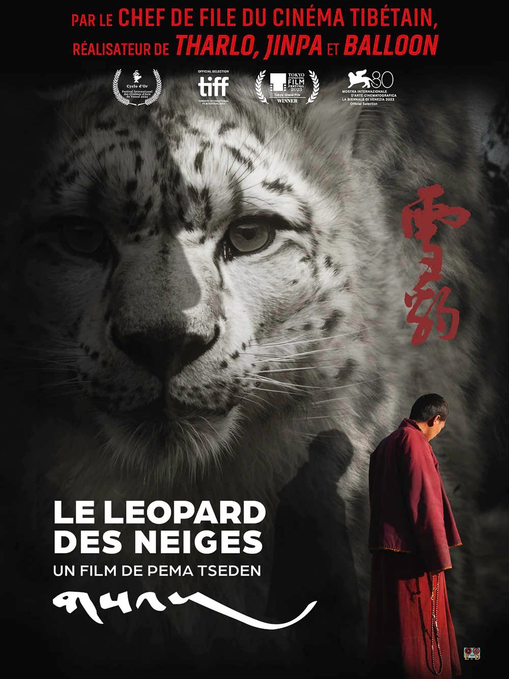 Le Léopard des neiges_Affiche - Festival des Chefs Op' en Lumière - Chalon sur Saône