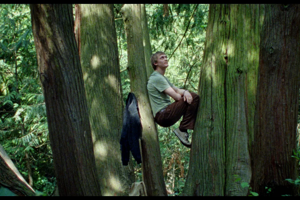 SILENT FRIEND IMAGE - Festival des Chefs Op' en Lumière - Chalon sur Saône